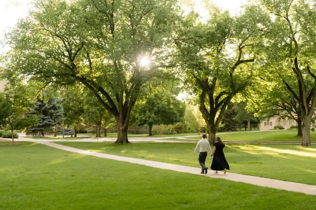 An evening stroll down a shady lane